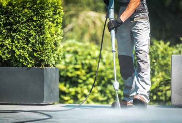 Best Graffiti Removal  in Texarkana, TX